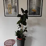아파트 Cozy Cik-cak
