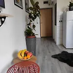 Cozy Cik-cak * 도보이