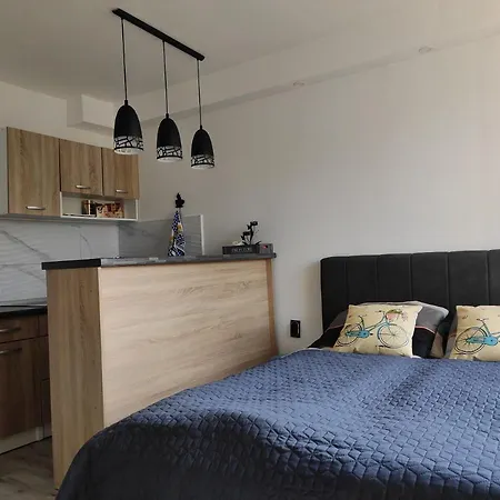 Cozy Cik-cak Apartment Doboj