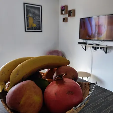 Apartment Cozy Cik-cak
