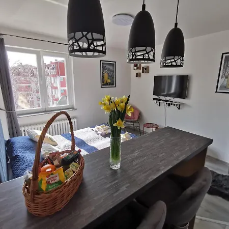 Cozy Cik-cak Apartment Doboj