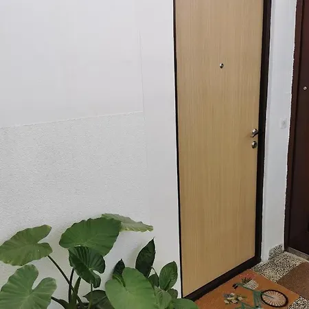 Cozy Cik-cak Doboj